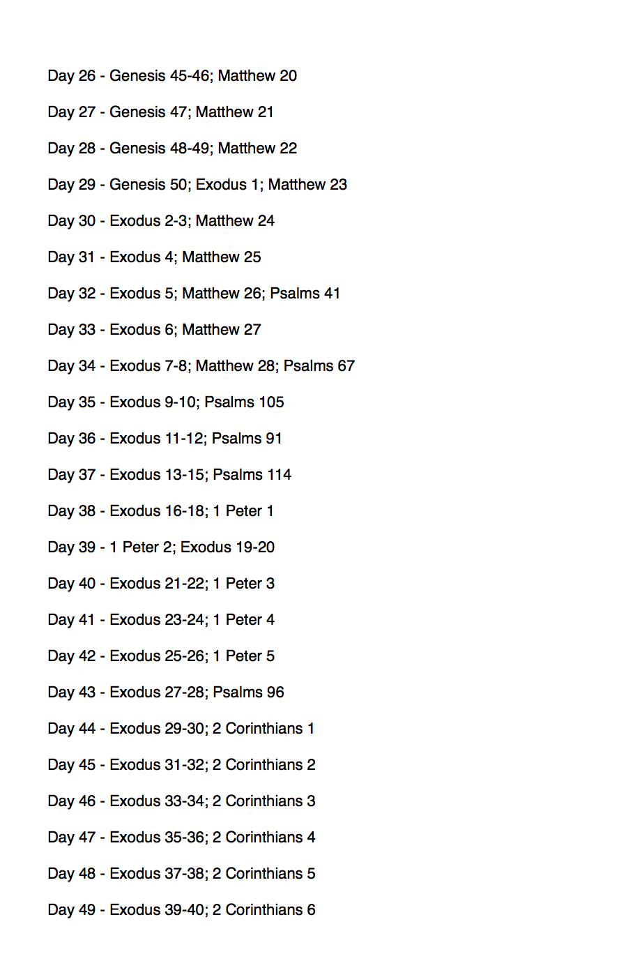 read the bible in 365 days